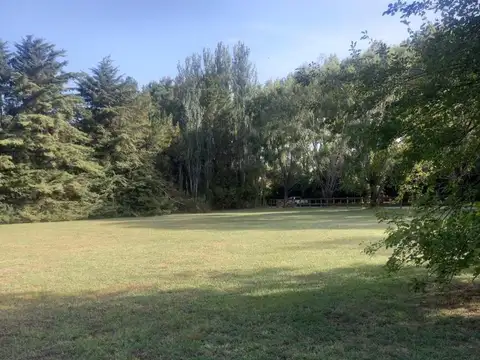 Harás el Malacate Exaltación de la Cruz Capilla del Señor