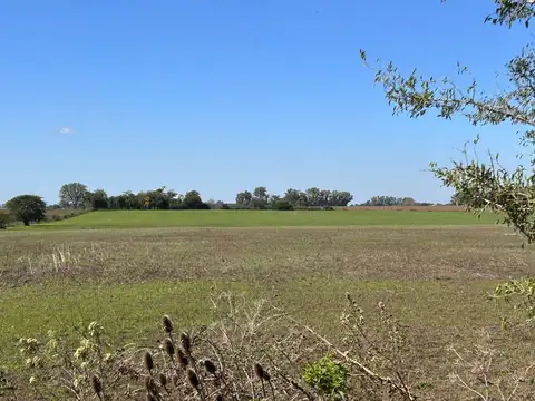 VENTA CAMPO 7 Ha. APTO DESARROLLADORES, con zonificacion residencial, subdividible en 1500 mts.
