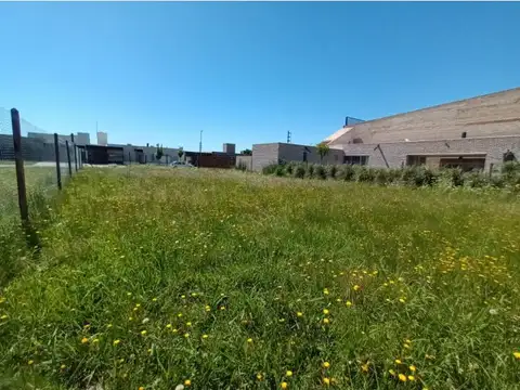 Cimarrón entre Fuerza Aérea y Rodriguez