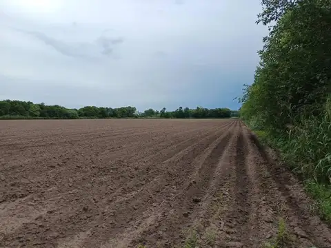 Camino 60 Cuadras