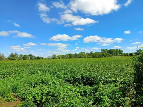 VENDO CAMPO AGRICOLA EN BOUWER,CORDOBA