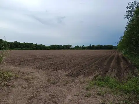 VENDO CAMPO AGRICOLA EN BOUWER,CORDOBA