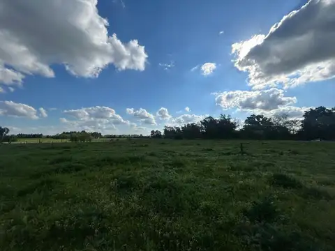 Venta Campo 1Ha,  Partido de Luján