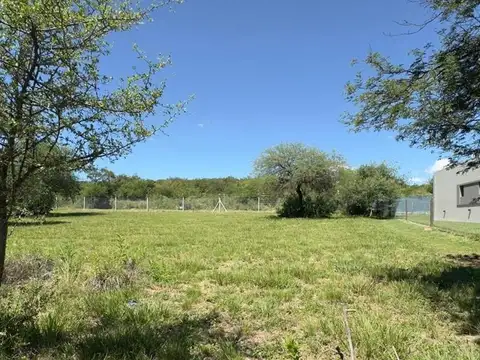 Lote 327