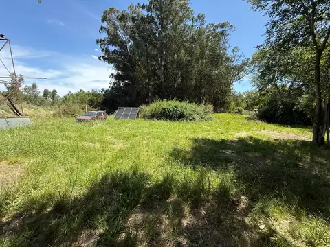Monte Hoffmann