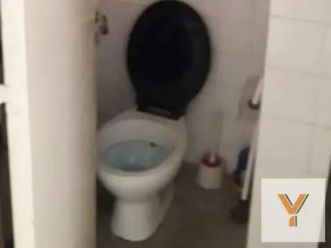 Galería Williams - 8 e/ 48 y 49