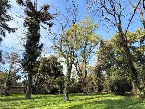 Barrio Con Portón " La Anita "