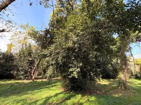 Lotes en Venta en Barrio con Portón " La Anita"