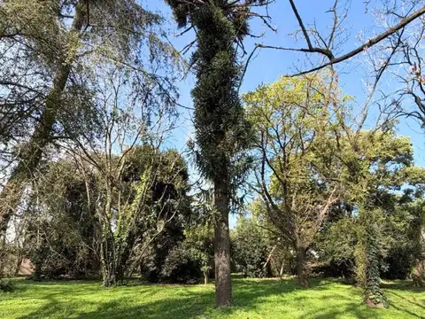 Terreno en Venta de 710,0 m2