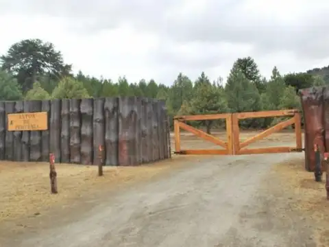 Consultar dirección