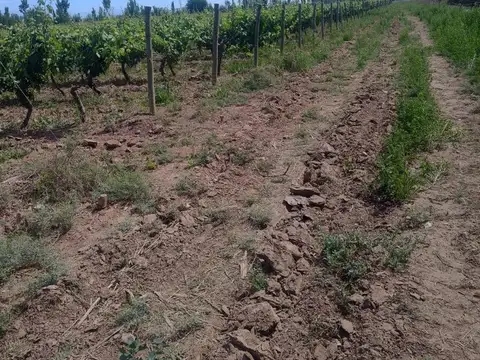 Ruta Nacional 40 100