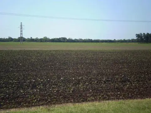 Campo en Venta de 50  ha