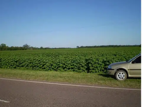 Campo 75Ha. en Venta, Roque Saenz Peña, Chaco, Cod.3005
