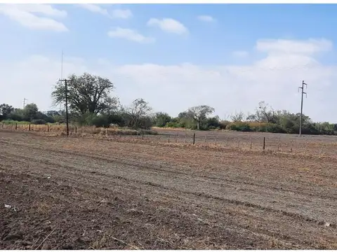 Campo 75Ha. en Venta, Roque Saenz Peña, Chaco, Cod.3005