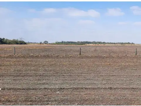Campo en Venta de 50  ha