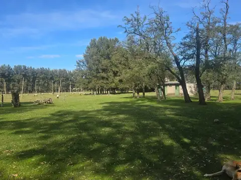 Terreno Campo  en Venta en Los Cardales, Exaltación de la Cruz, G.B.A. Zona Norte