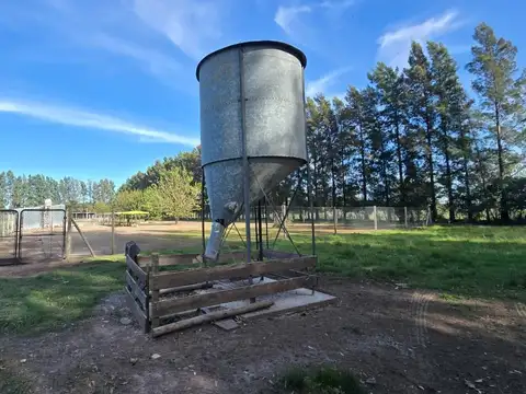 Terreno Campo  en Venta en Los Cardales, Exaltación de la Cruz, G.B.A. Zona Norte