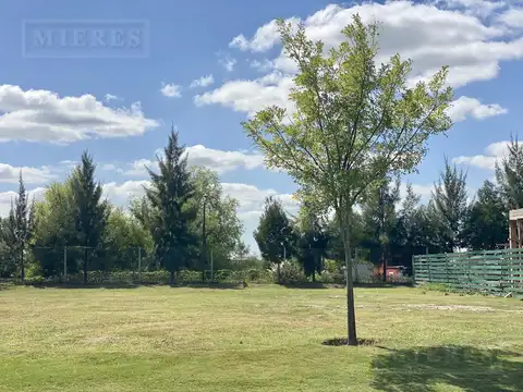 Lote perimetral en venta en el Barrio Las Tipas, Nordelta.