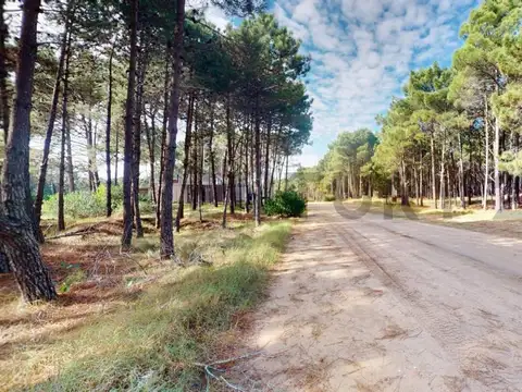 Terreno en Venta 36  mts Fondo