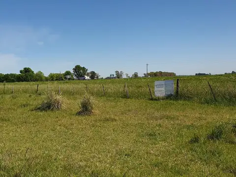 QUINTA CHACRA EN VENTA URIBELARREA 4 HECTAREAS