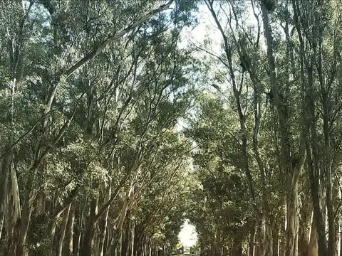 Terreno en Venta de 1270,0 m2