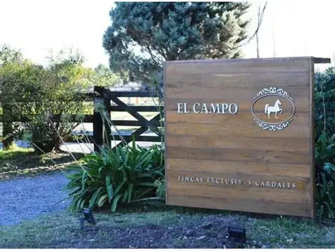 Ruta 4
