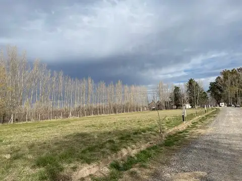 Terreno en Venta en General Roca, USD 30.363