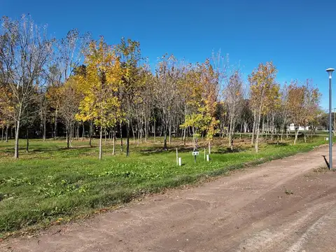 Lote En El Pato, Fincas San Pedro 2.