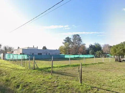 Rafael al 1600