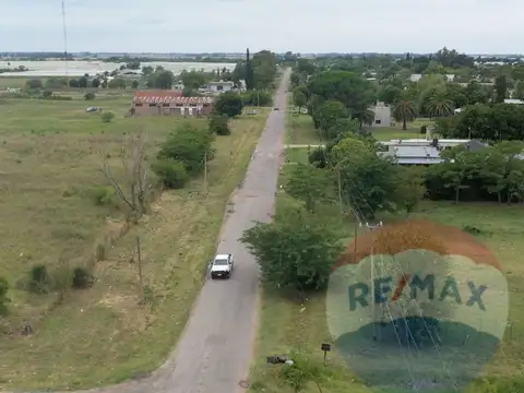 CAMPO EN VENTA EN 185 y 72. 12 HECTAREAS