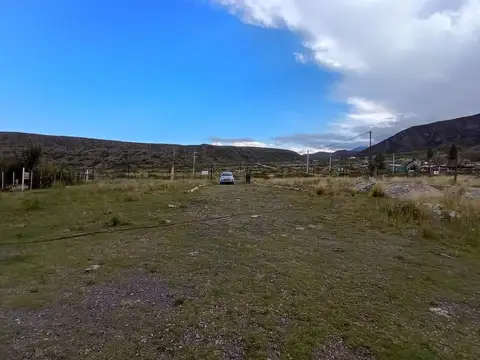 Camino Francisco Guiñazú 100