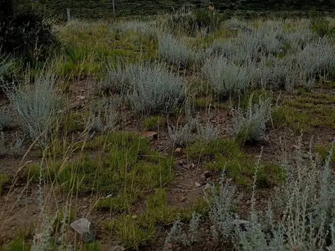 VENTA TERRENO 8000m POTRERILLOS, A METROS DEL RIO