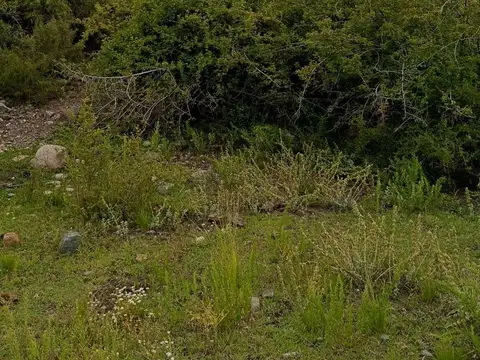 Terreno en Venta en Las Vegas, USD 89.950