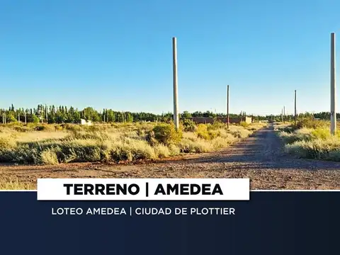VENTA TERRENO 300M2 | LOTEO AMEDEA | PLOTTIER