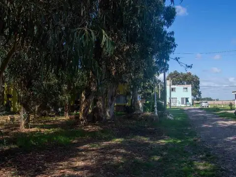 ruta 11