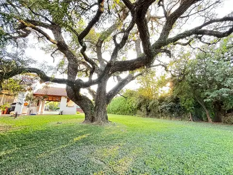 Los molinos 100