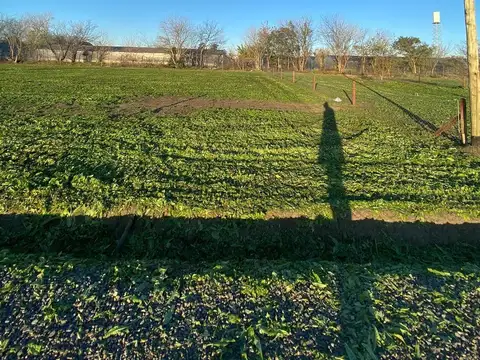 Terreno en Azaleas Barrio Cerrado