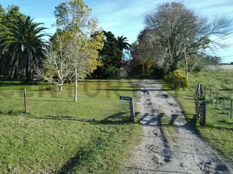 Ruta 20 100