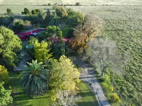VENTA – CHACRA DE 8 HECTÁREAS PARQUIZADAS EN MAGDALENA
