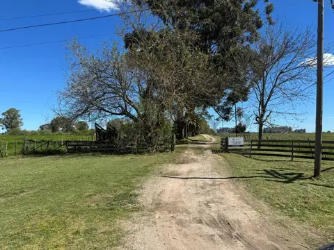 Ruta 20 100