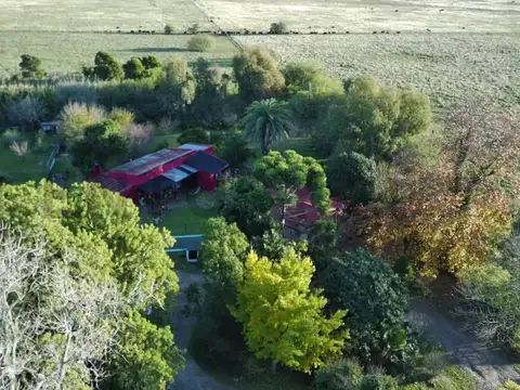 VENTA – CHACRA DE 8 HECTÁREAS PARQUIZADAS EN MAGDALENA