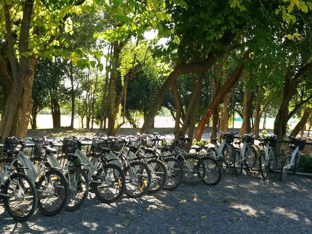 Actividades deportivas futbol, tenis en Jardines de San Lorenzo