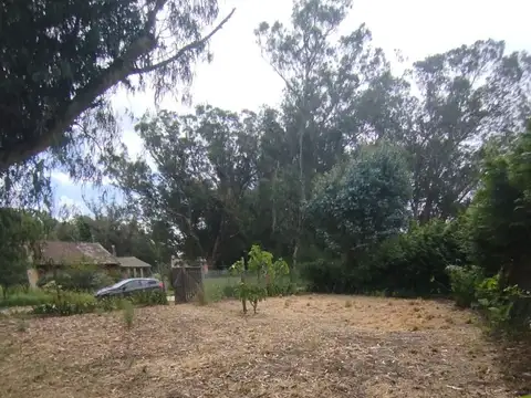 VENTA LOTE EN PARQUE BRISTOL MIRAMAR