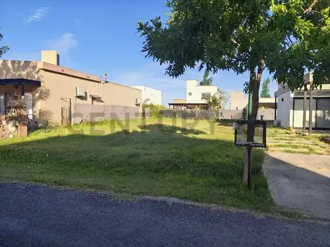 Terreno en Venta 25  mts Fondo