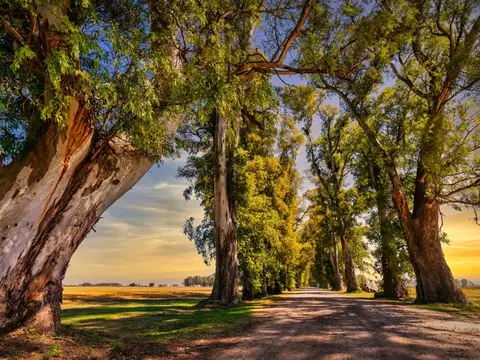 Villa de Campo Los Tres Pinos 100