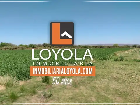 171 Hectáreas con vivienda en venta en La Lomita, San Luis