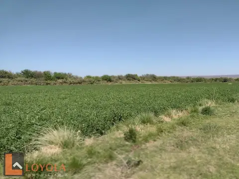 171 Hectáreas con vivienda en venta en La Lomita, San Luis