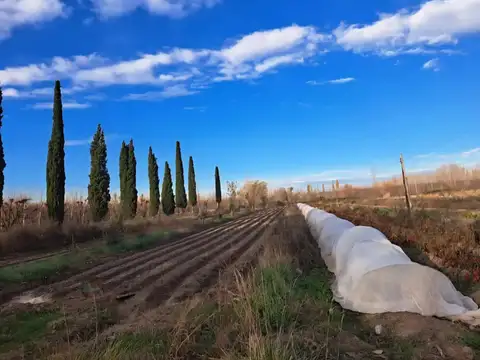 Terreno en Venta en Contralmirante M Guerrico, USD 120.000