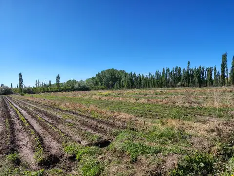 calle 3 y Jacobo Retamal