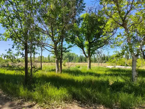 calle 3 y Jacobo Retamal